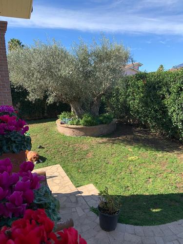 ville unifamiliari in vendita Roma in castello tesino € 450.000 EUR